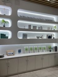 -薇薇安花系SPA