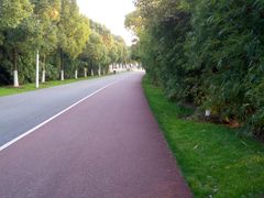 -艾溪湖湿地公园