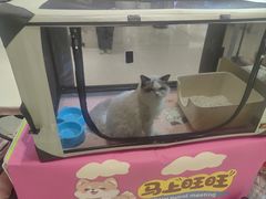 -丽达购物中心(崂山店)