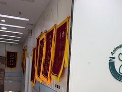 -中农国际动物医院24小时·猫科·骨科·急重症中心