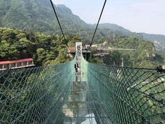 -梦幻奥陶纪景区