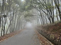 -雨花胜境