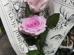 -FEI FEI FLOWER鲜花店·气球派对·宝宝宴布置(虹口德必运动Loft店)