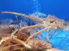 -阿伟海鲜楼·福建菜(延寿店)