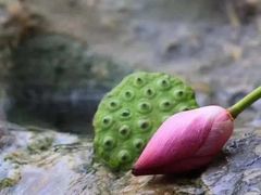 -半天妖烤鱼(芝罘万达店)