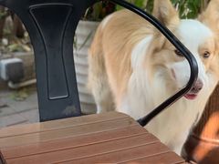 -豆舞咖啡(民乐路店)