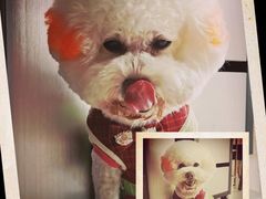 -乐琪宠物(青塔西路店)