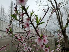 -前小桔亲子创意农场·草莓采摘·露营烧烤