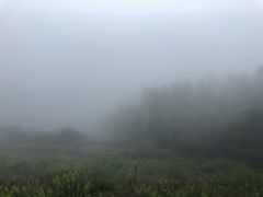 -江南天池