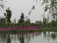 -苏州太湖国家湿地公园