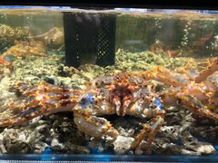 -盒马鲜生(皇庭广场店)