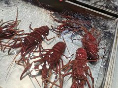 -湛江渔港·大排档(乐园路总店)