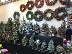 -双季花艺园艺市场(浦东店)