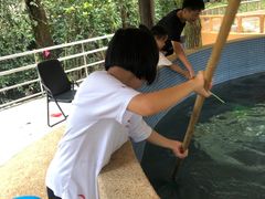 -杭州少年儿童公园