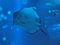 -太平洋海底世界