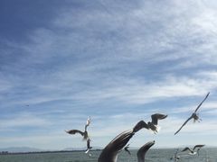 -云南滇池花园国际大酒店温泉