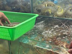 -班赞海鲜市场