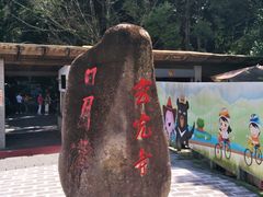 -金盆阿嬷香菇茶叶蛋(玄光店)