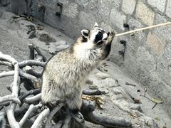 -上海野生动物园