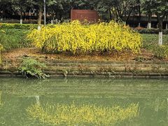 -沙河三洞古桥公园