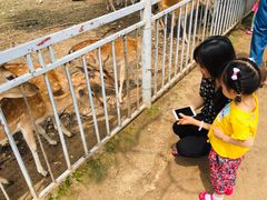 -西安秦岭野生动物园