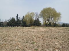 -济南国际园博园