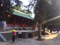 景点-少林寺景区
