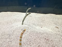 -欢乐海岸海洋奇梦馆