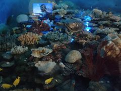 -浙江自然博物院(杭州馆)