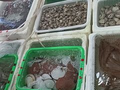 -外伶仃岛海鲜市场