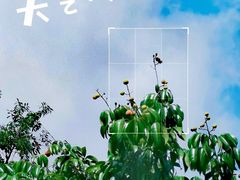 -长洲岛都市农业公园