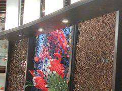 -索菲特酒店·海鲜自助 ·聚餐厅