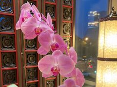 -北京四季酒店·采逸轩