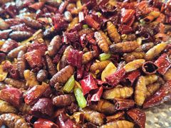 -破瓦寒窑·地摊烤羊排