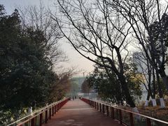 -青枫公园