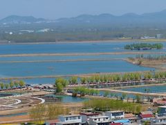 -微山湖红荷湿地景区