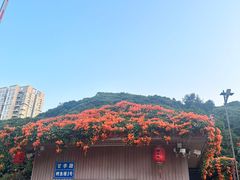 -鲤鱼塘农家山庄