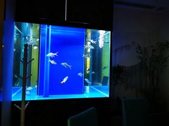 -原鄉本味 楚菜 丹江口鱼(北苑店)