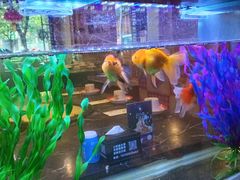 -粗粮人家·东北菜(洋桥店)