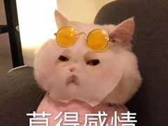 -惠友大虾(太原北街店)