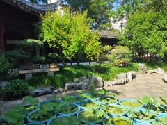 -上海醉白池公园