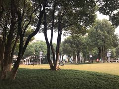 -重庆市江北嘴中央商务区中央公园