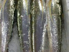 android_upload_pic-春盛渔府(牛首山店)