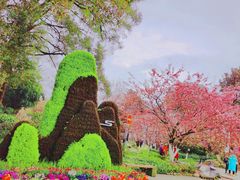 -南山植物园