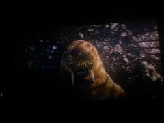 -大世界影城(无锡江南大悦城IMAX激光店)