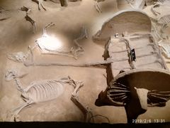 -洛阳周王城天子驾六博物馆