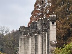 -音乐台