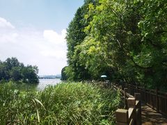 -东湖落雁景区