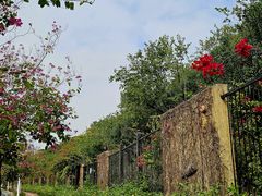 -南宁市凤岭儿童公园