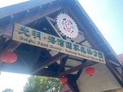 -上海海湾国家森林公园